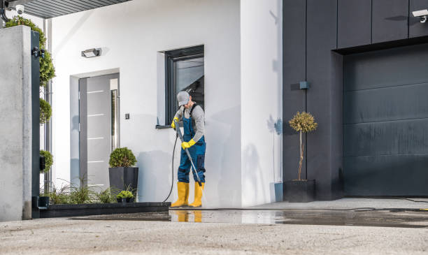 Best Graffiti Removal  in Rogers, TX